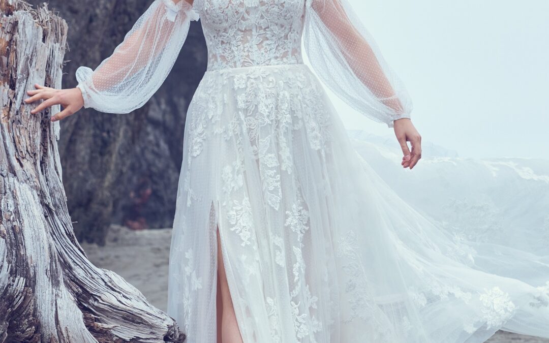 Sottero and Midgley